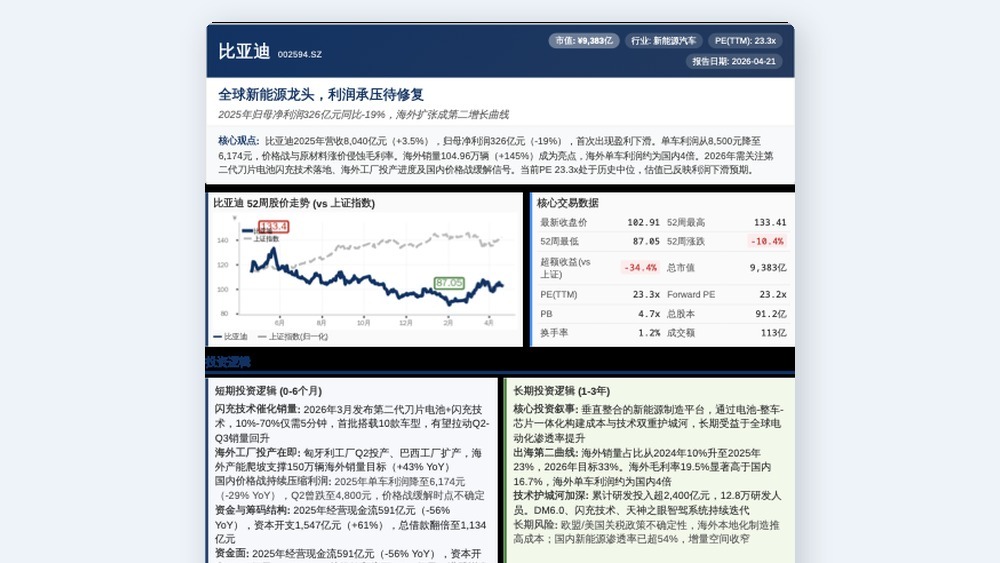 比亚迪投资简报
